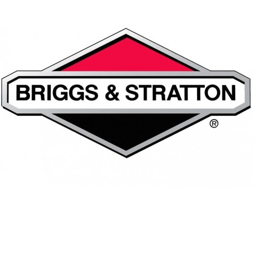 BRIGGS & STRATION